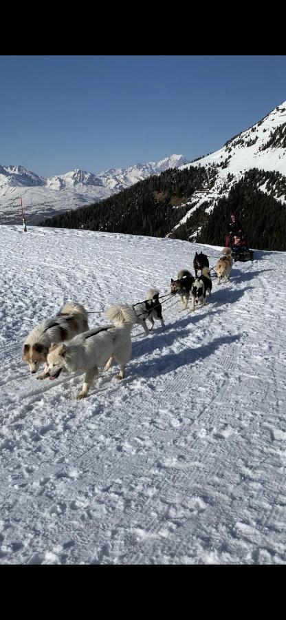 Bel Appartement Ski Aux Pieds Plagne Bellecote La Plagne Εξωτερικό φωτογραφία